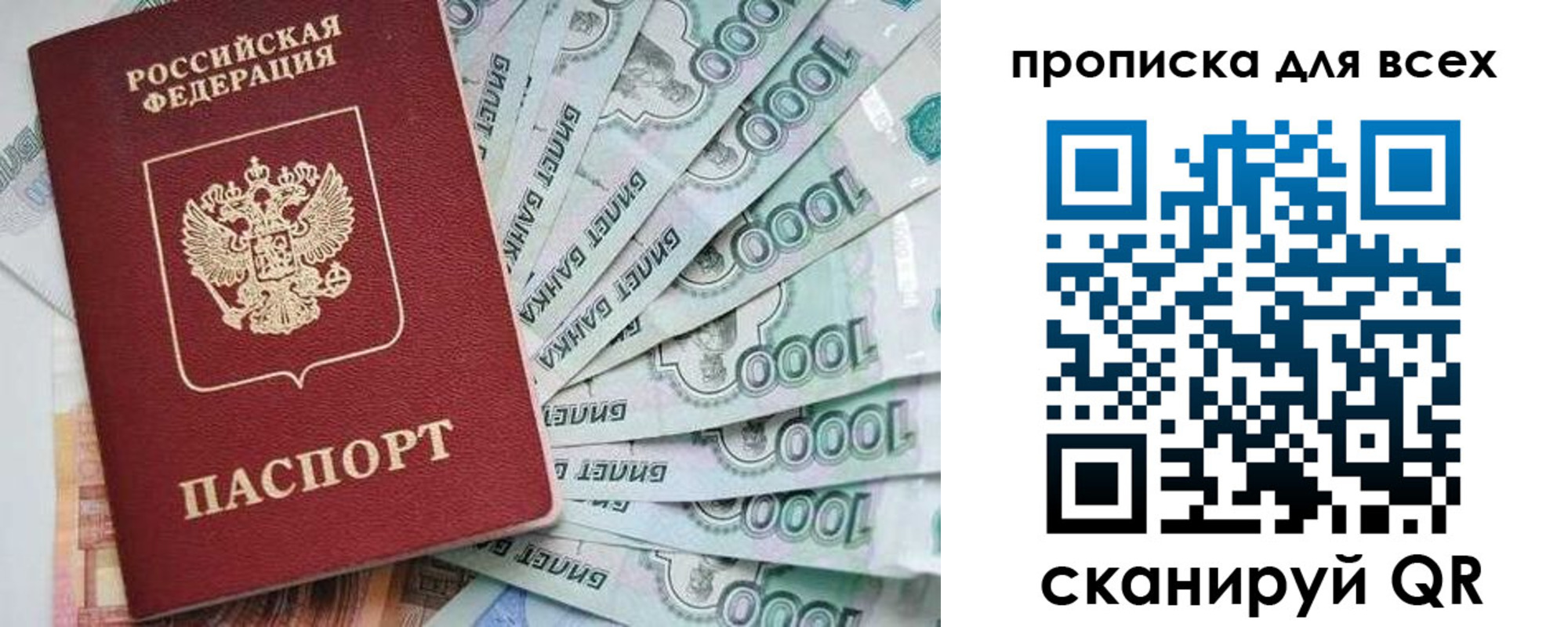 прописка гарантия в Дубне